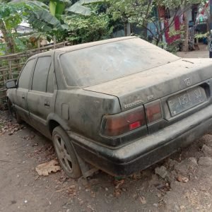 WhatsApp Image 2021-09-10 at 10.48.01